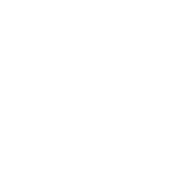 Logo Mareli Systems